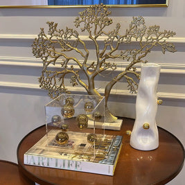 Caja Decorativa de Acrílico María Antonieta