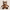 Peluche Kids – Animales del Bosque
