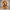Peluche Kids – Animales del Bosque