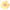 Flor de Peluche – KIDS