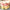 Flor de Peluche – KIDS