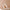 files/IMG-1666.jpg