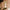 files/IMG-2766.jpg
