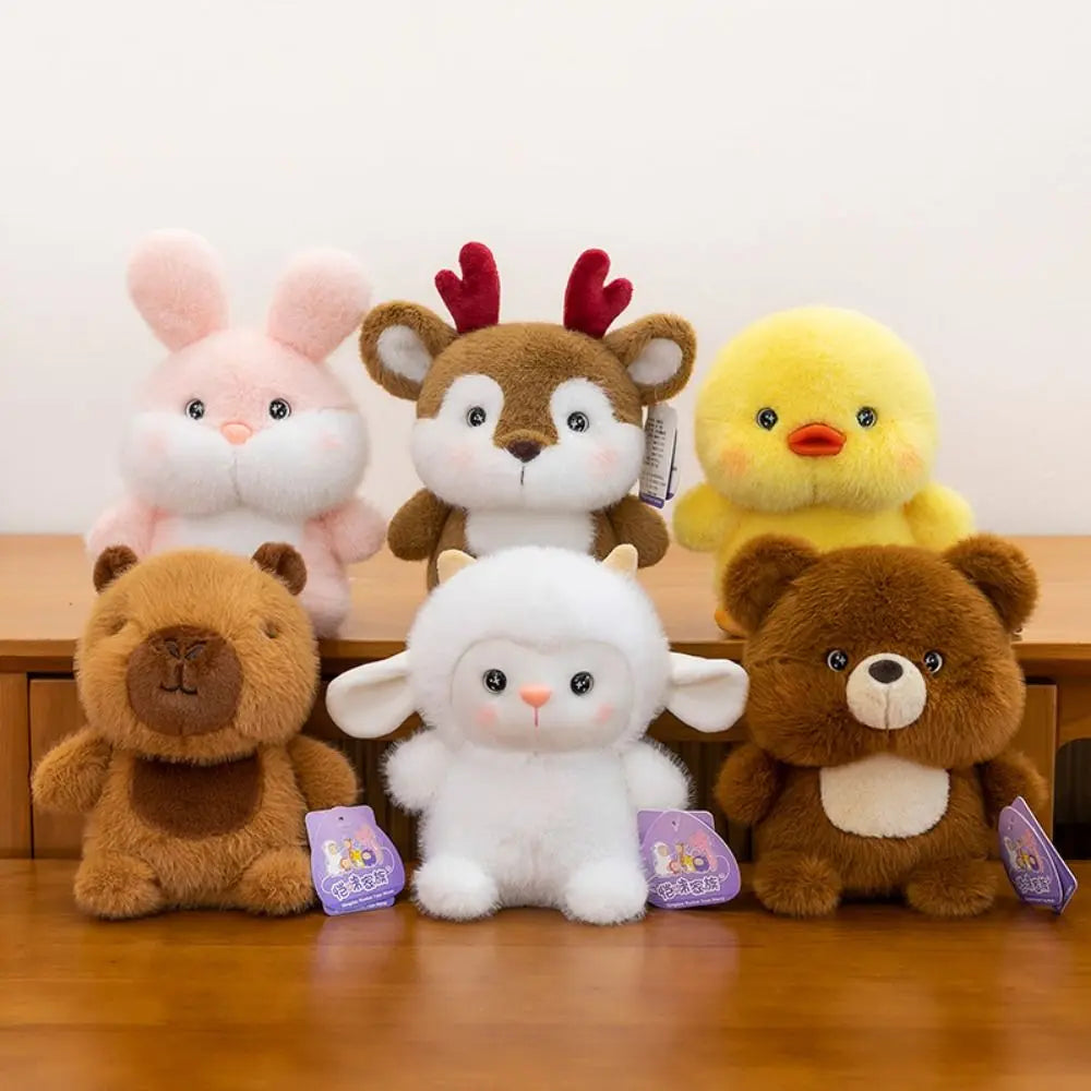 Peluches Coleccionables – Dream Kitty - Minimalist House Shop