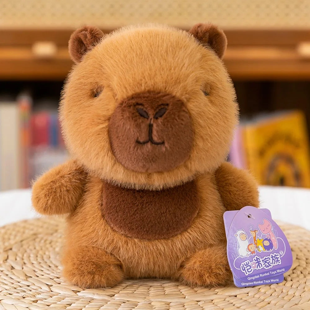 Peluches Coleccionables – Dream Kitty - Minimalist House Shop
