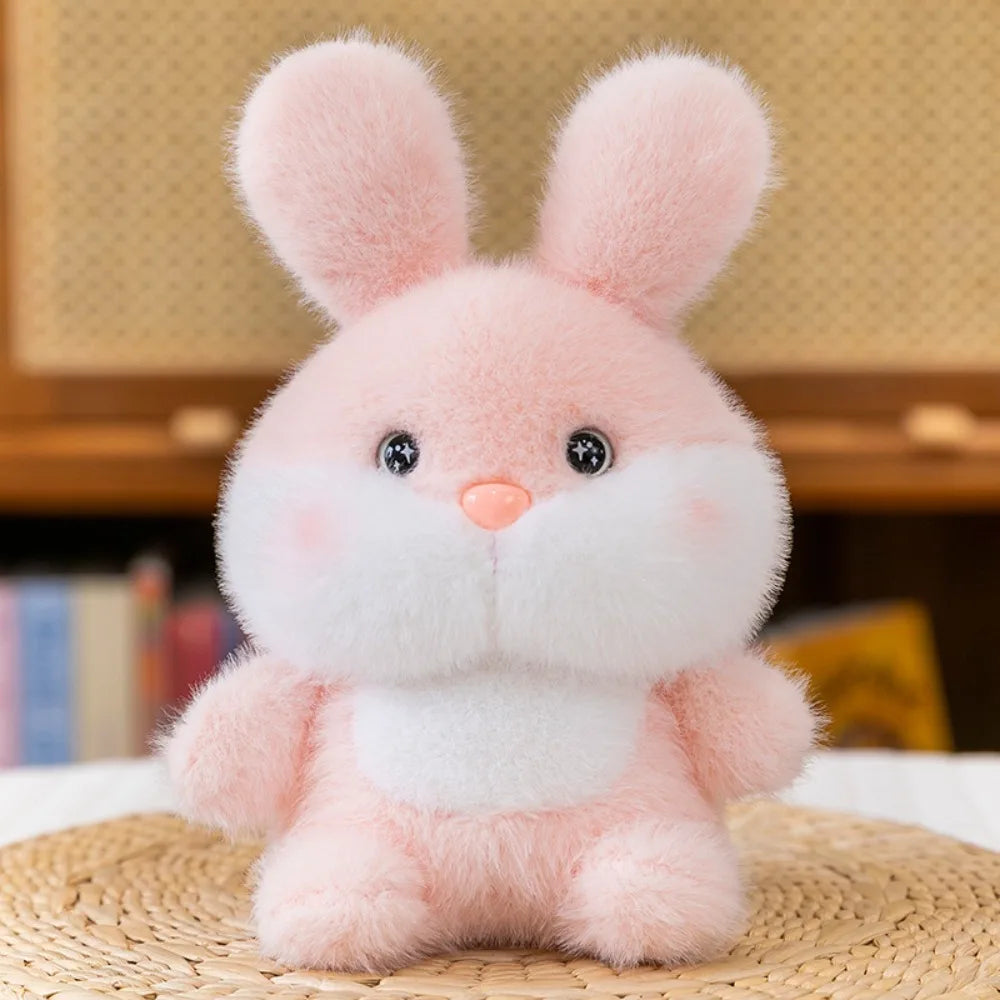 Peluches Coleccionables – Dream Kitty - Minimalist House Shop