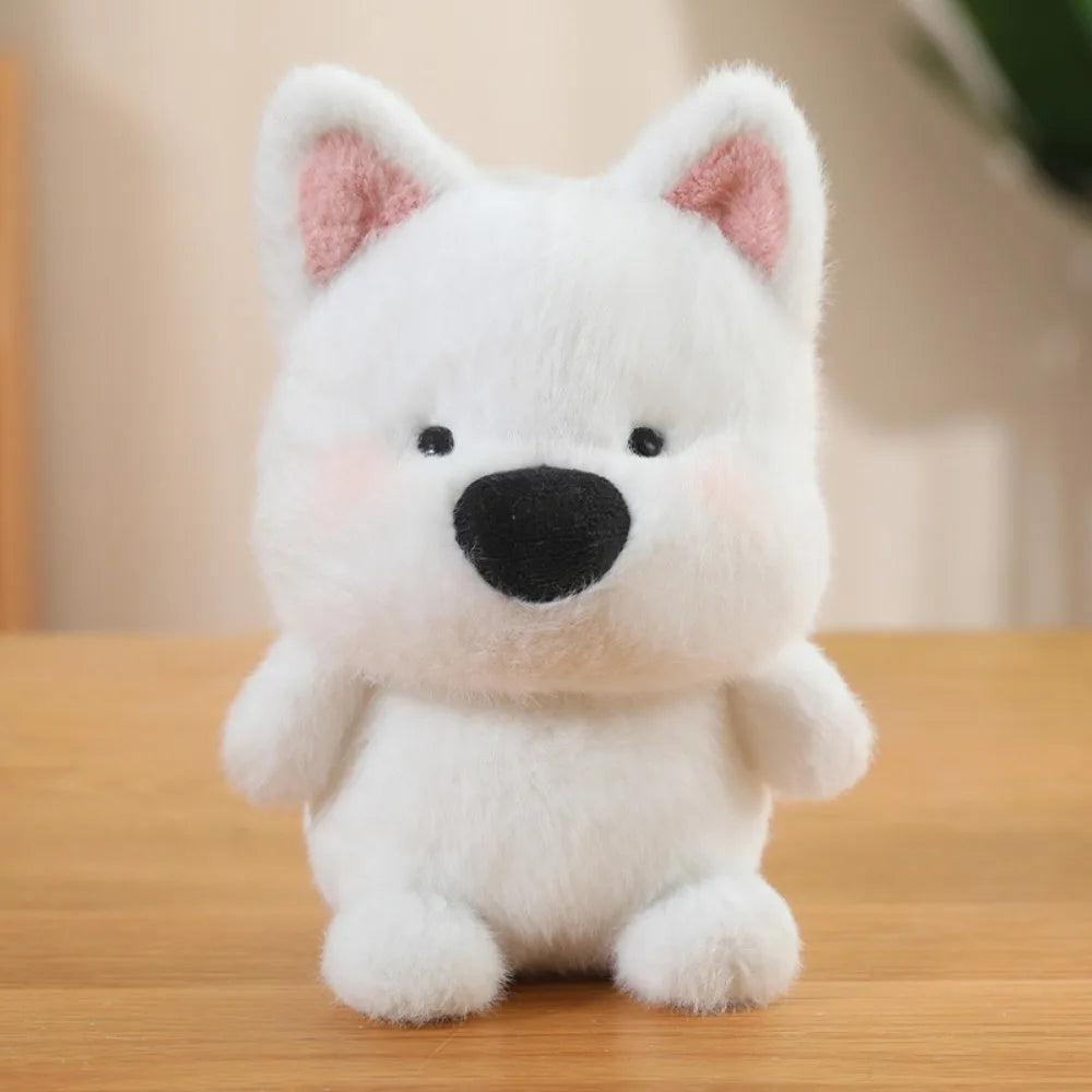 Peluches Coleccionables – Dream Kitty - Minimalist House Shop