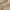 Manta Home & Decor – Cream